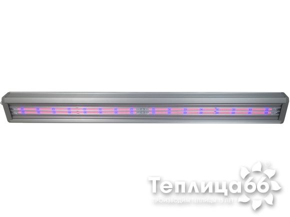 Фитолампа ДСП 04-140-002 FitoLED Profi 140