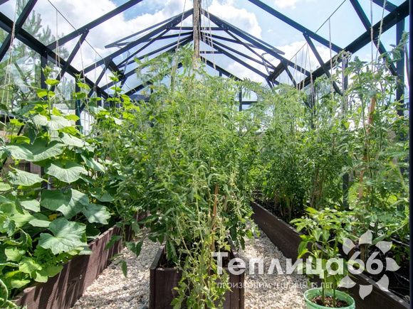 Теплица Рада Гарденикс 3 С (под стекло), ширина 3 м